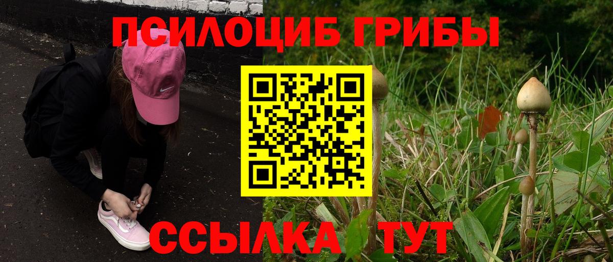 Псилоцибиновые грибы Psilocybine cubensis  Вход с VPN  Ноябрьск 