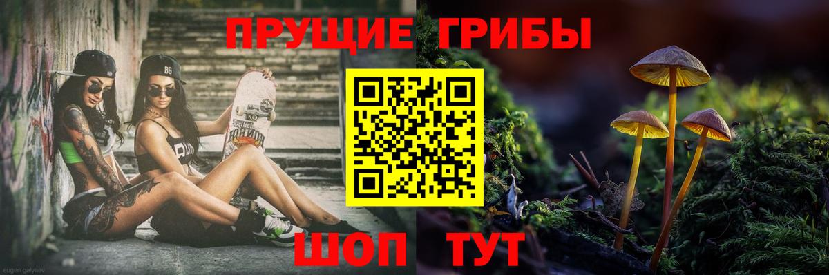 Галлюциногенные грибы Cubensis Ноябрьск